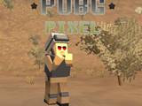 PUBG Pixel